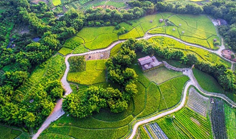 從化農耕田緣休閑農業、旅游信息化建設項目